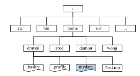 image-20250705220506195