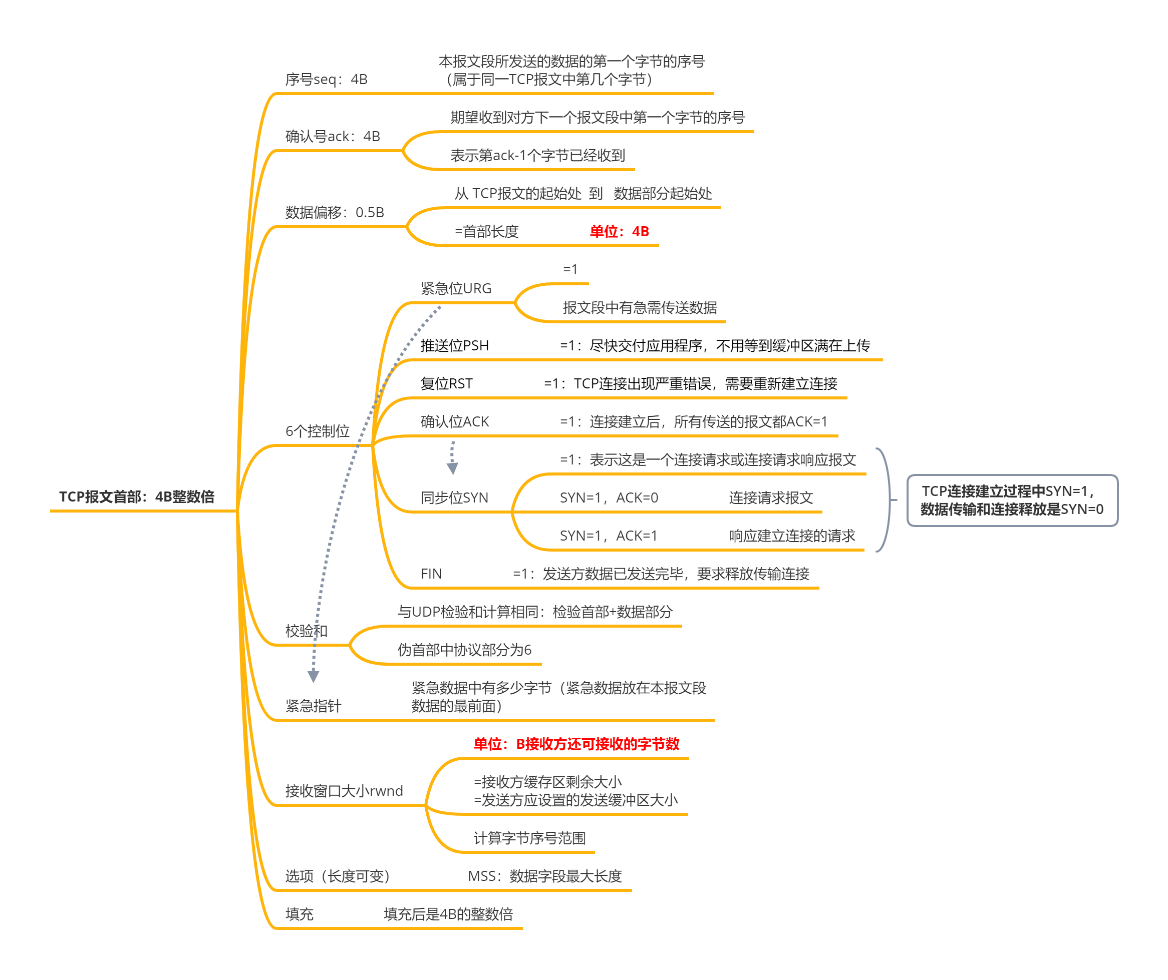 TCP报文首部：4B整数倍